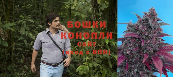 хмурый Кущёвская
