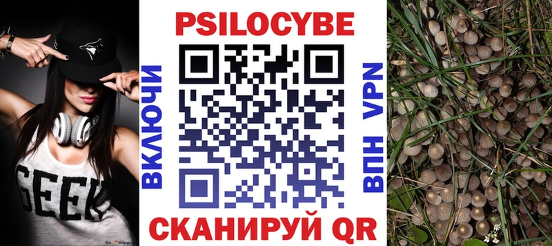 Купить закладки  Кувандык  Галлюциногенные грибы Psilocybine cubensis 