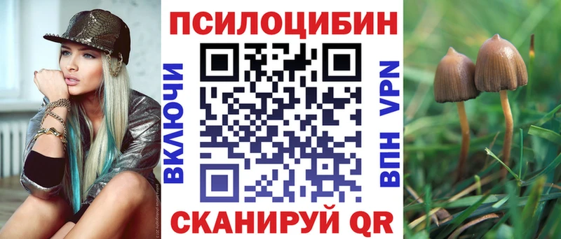 Псилоцибиновые грибы Cubensis Кувандык